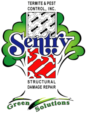 Sentry-Logo-1-e1555270567262