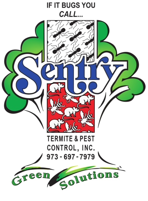 Sentry-Logo-2024